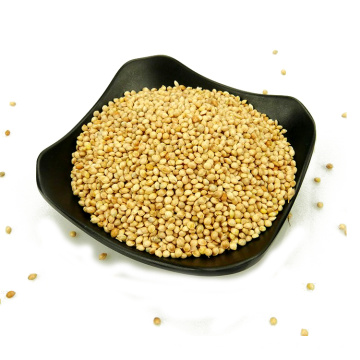 Milho de vassoura branca Millet (alimentação de aves)